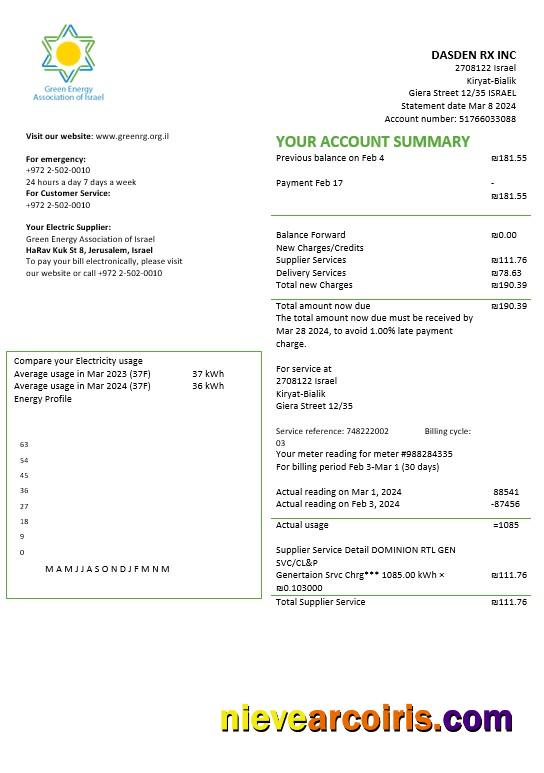 Professional Israel Green Energy Association Of Israel Business Utility Bill Template In Word And PDF Formats