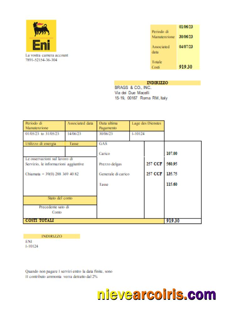 Italy Gas Utility Business Bill, SCR Photolook
