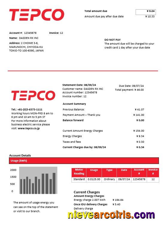 Editable Japan Tokyo Electric Power Company Electricity Business Utility Bill Template In Word And PDF Format