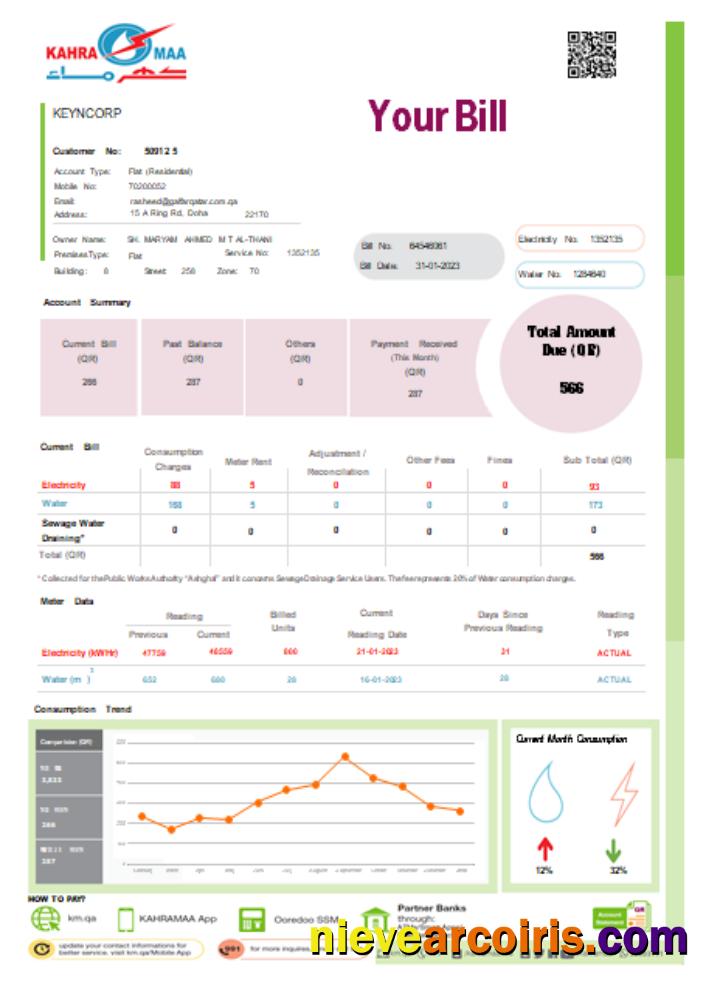 Kahramaa Utility Business Bill, Page 1, SCR Sample