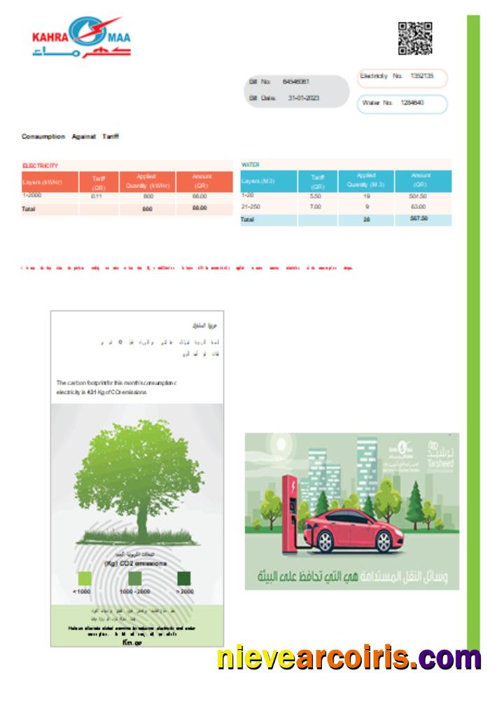 Kahramaa Utility Business Bill, Page 2, SCR Preview