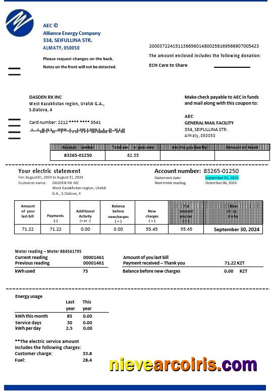 Editable Kazakhstan Alliance Energy Company (AEC) Business Utility Bill Word And PDF Template