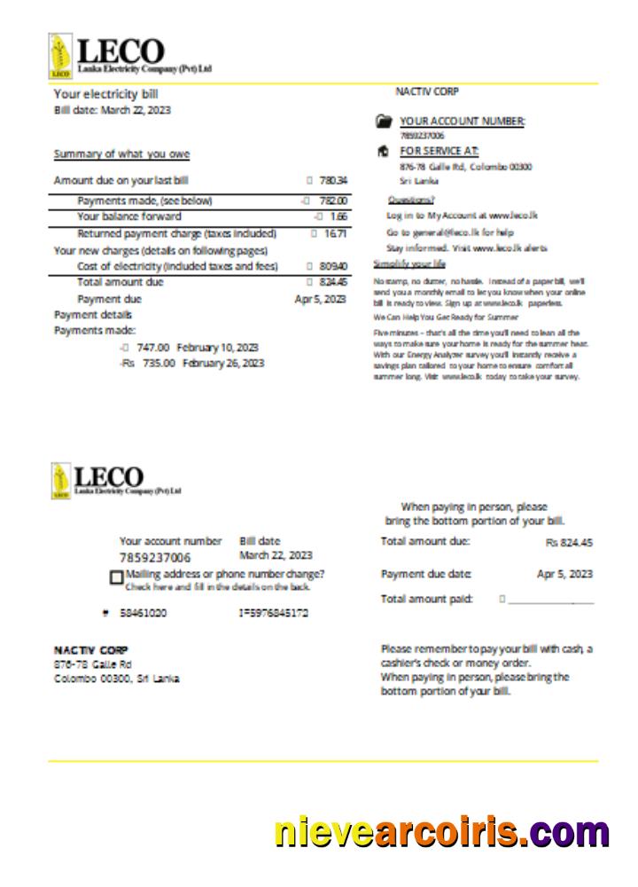 LECO Corporation Electricity Business Bill, SCR Photolook