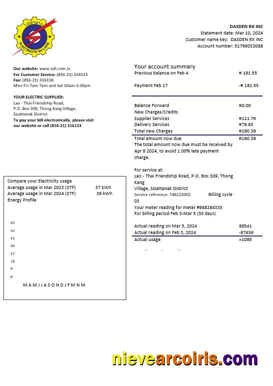 Editable Laos Electricite Du Laos Electricity Business Utility Bill Template In Word And PDF Formats