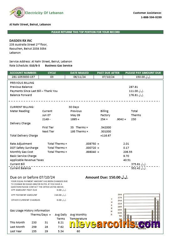 Professional Lebanon Electricity Of Lebanon Business Utility Bill Template In Word And PDF Formats