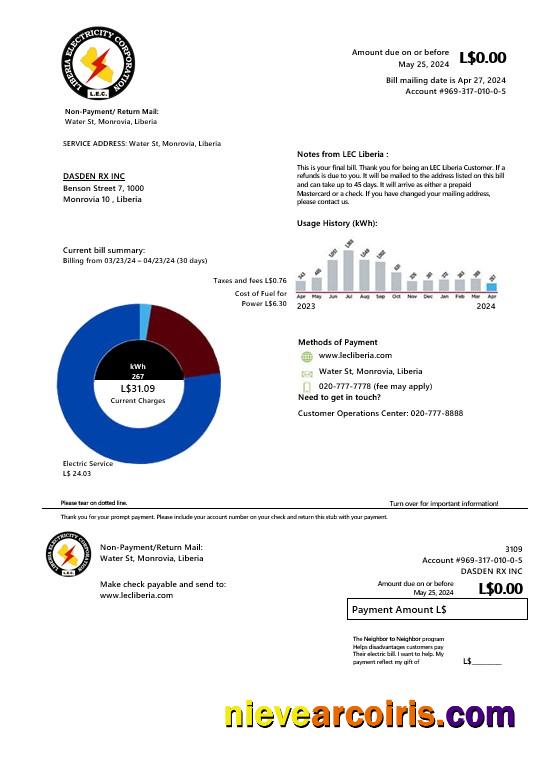 Realistic Liberia Electricity Corporation Business Utility Bill Template In Word And PDF Formats