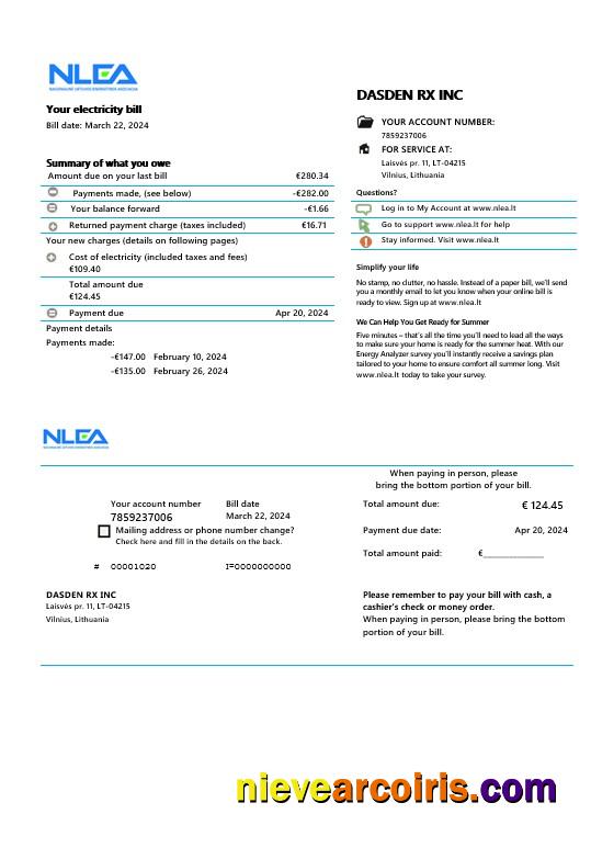 Editable Lithuania National Lithuanian Energy Association Business Utility Bill Word And PDF Template