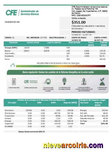 Realistic Mexico Electricity CFE Business Utility Bill Template In Word And PDF Formats, Fully Editable