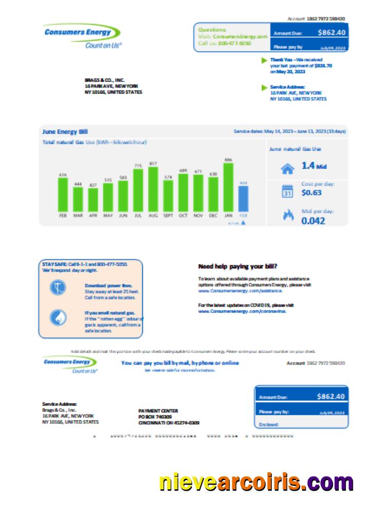 Premium Michigan Consumers Energy Business Utility Bill, Word And PDF Template SCR