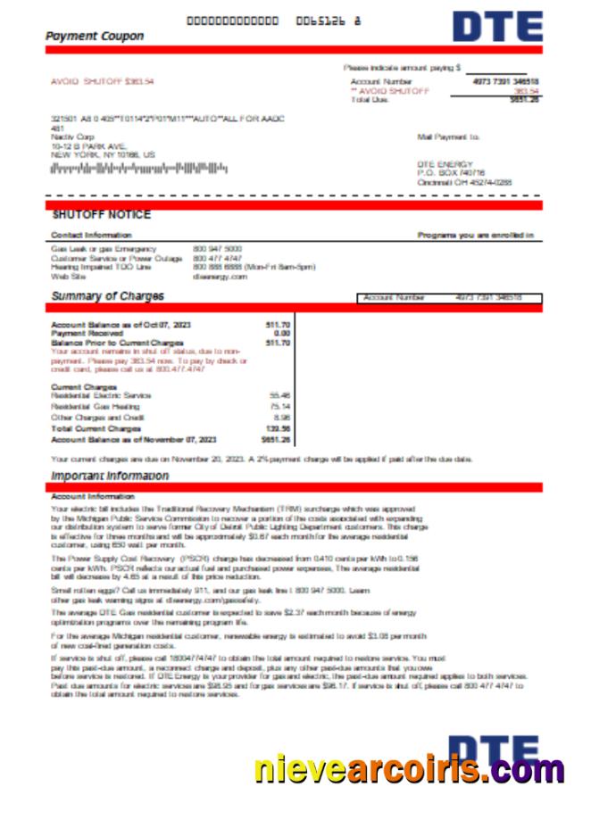 Premium Michigan DTE Energy Utility Business Bill, Word And PDF Template SCR