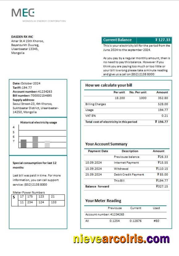 Professional Mongolia Energy Corporation (MEC) Electricity Business Utility Bill Template In Word And PDF Formats