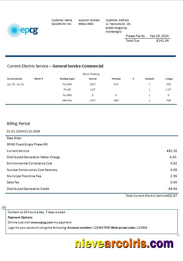 Realistic Montenegro Elektroprivreda Crne Gore (EPCG) Electricity Business Utility Bill Template In Word And PDF Formats