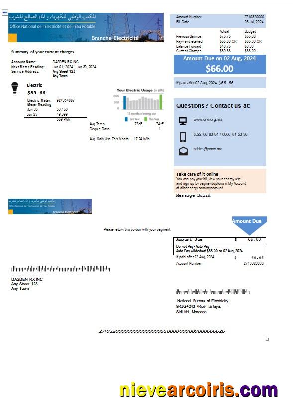 Editable Morocco National Bureau Of Electricity Business Utility Bill Word And PDF Template