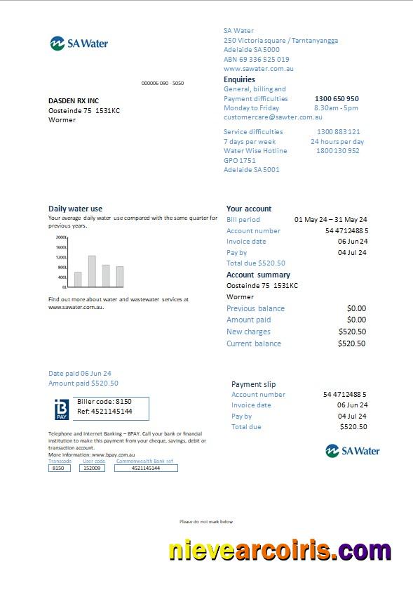 Professional Netherlands SA Water Business Utility Bill Word And PDF Template