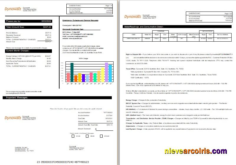 New York Dynowatt Electricity Business Utility Bill Word And PDF Formats, 2 Pages Template
