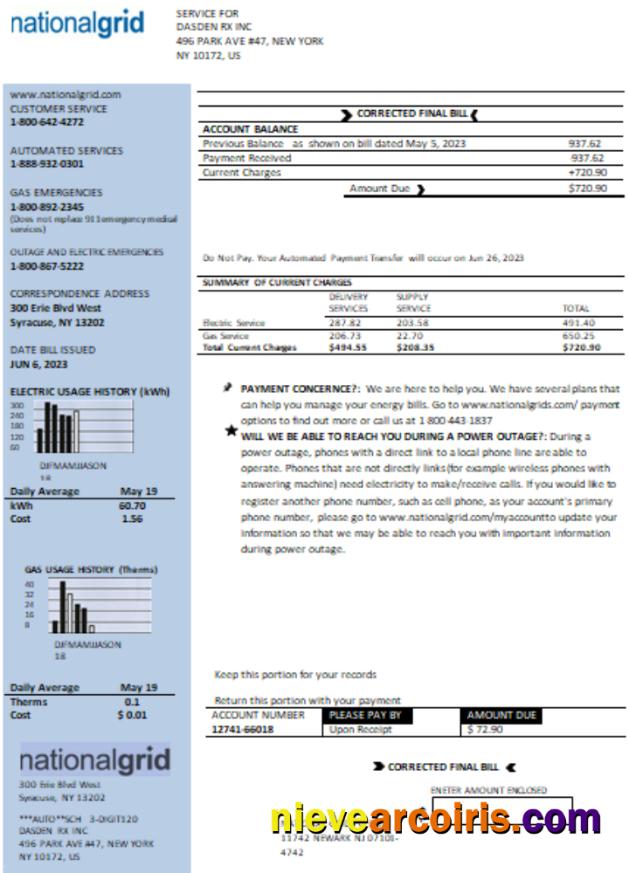 Realistic New York National Grid Utility Business Bill, Word And PDF Template SCR