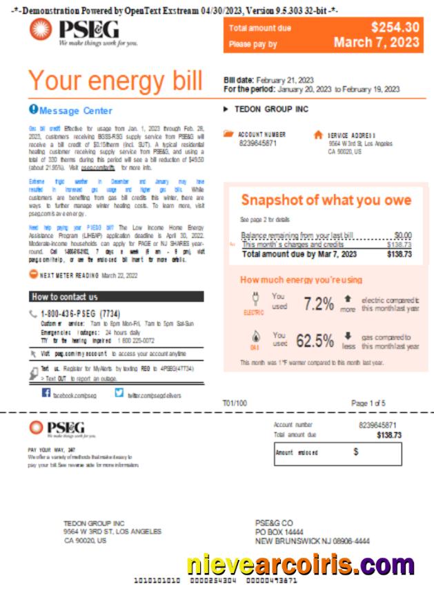 New York PSEG Utility Business Bill, Page 1, SCR Photolook