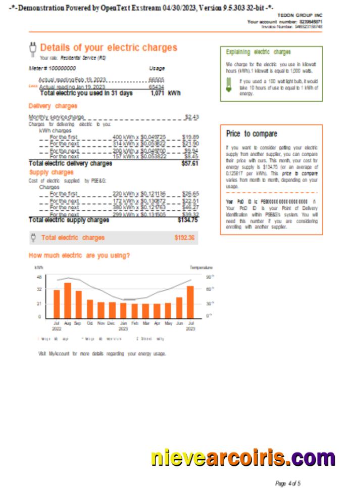 New York PSEG Utility Business Bill, Page 4, SCR Photolook