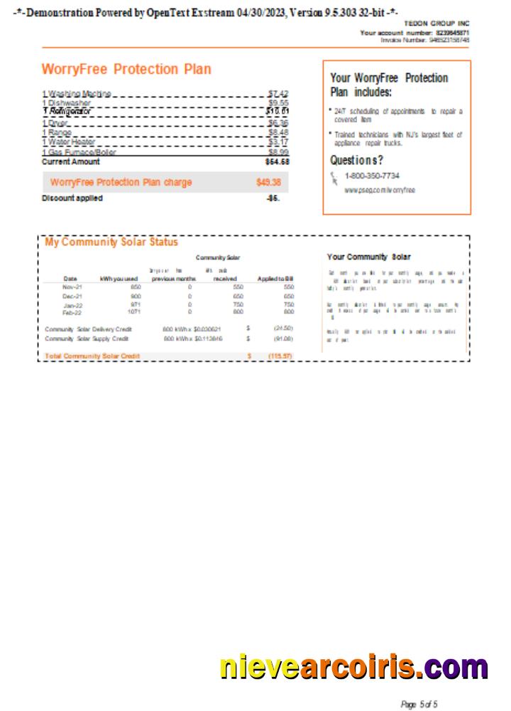 New York PSEG Utility Business Bill, Page 5. SCR Sample