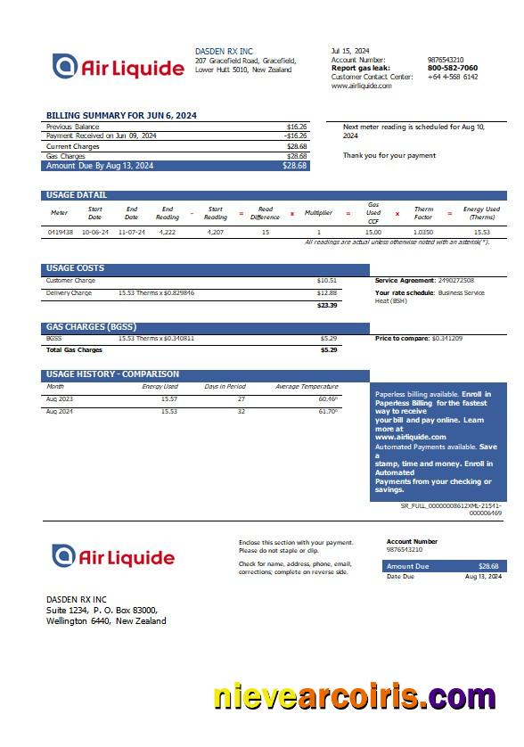 Premium New Zealand Air Liquide Gas Business Utility Bill Template In Word And PDF Formats