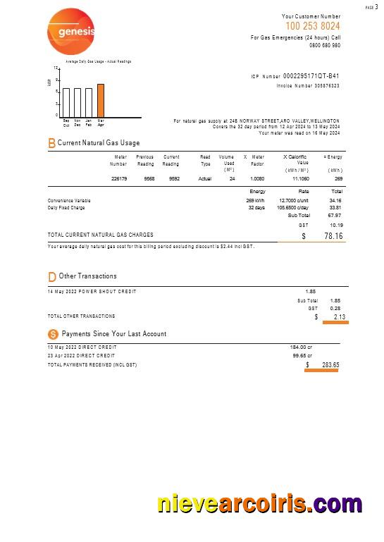 New Zealand Genesis Gas Utility Bill 3 Pages Photolook