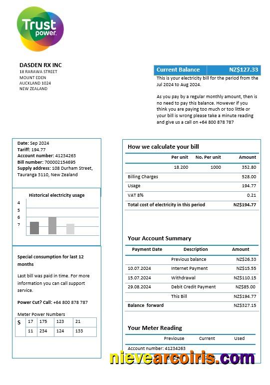 Premium New Zealand Trustpower Business Utility Bill Template In Word And PDF Formats