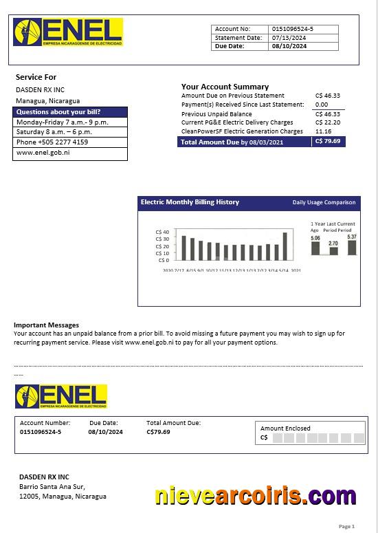 Realistic Nicaragua Nicaraguan Electricity Company ENEL Electricity Business Utility Bill Template In Word And PDF Formats