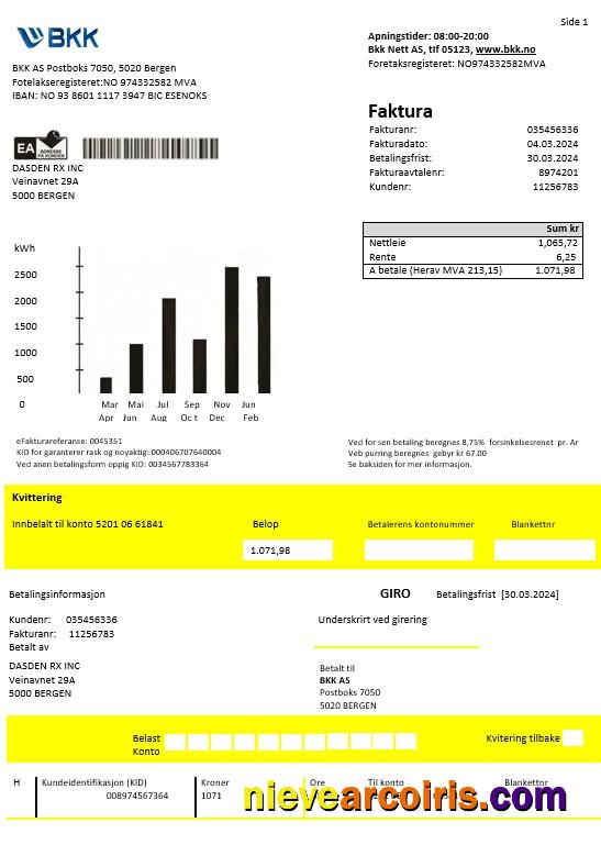 Professional Norway BKK Electricity Business Utility Bill Template In Word And PDF Formats, Good For Address Prove