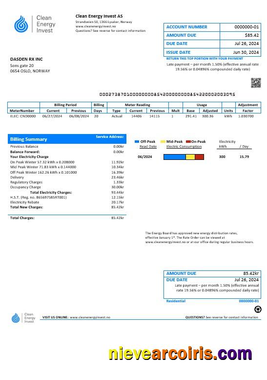 Editable Norway Clean Energy Invest AS Business Utility Bill Template In Word And PDF Formats, Good For Address Prove
