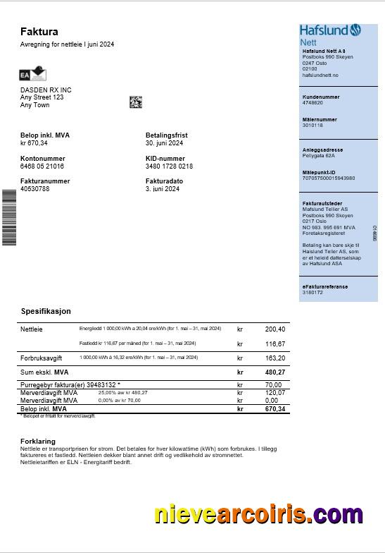 Professional Norway Hafslund Business Utility Bill Word And PDF Template