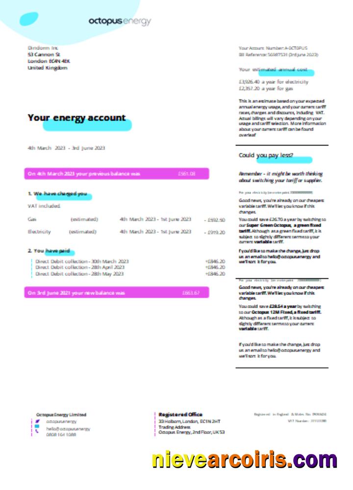 Octopus Energy Utility Business Bill SCR Page 1 Sample