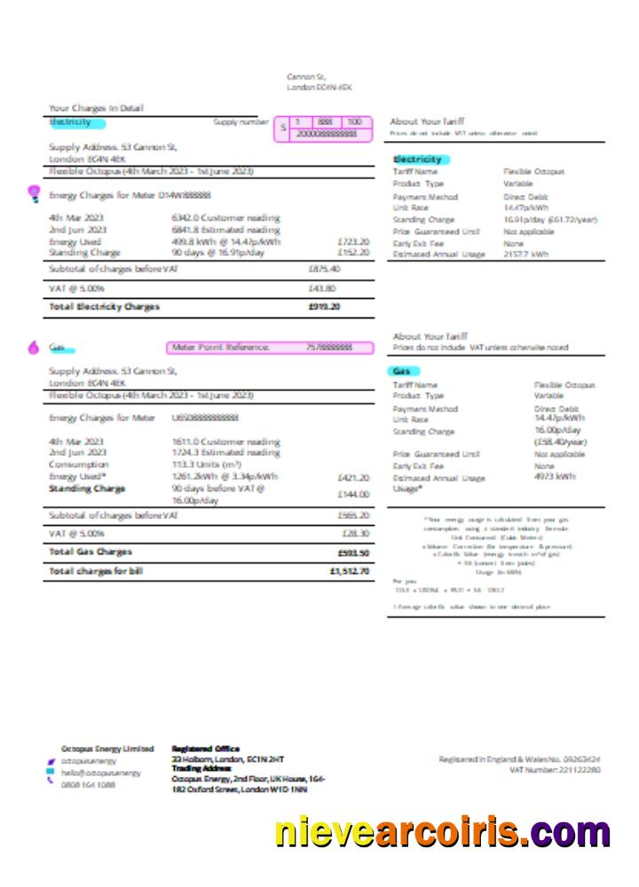 Octopus Energy Utility Business Bill SCR Page 2 Template