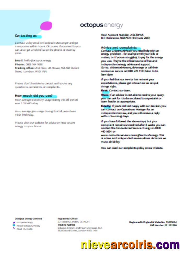 Octopus Energy Utility Business Bill SCR Page 3 Sample