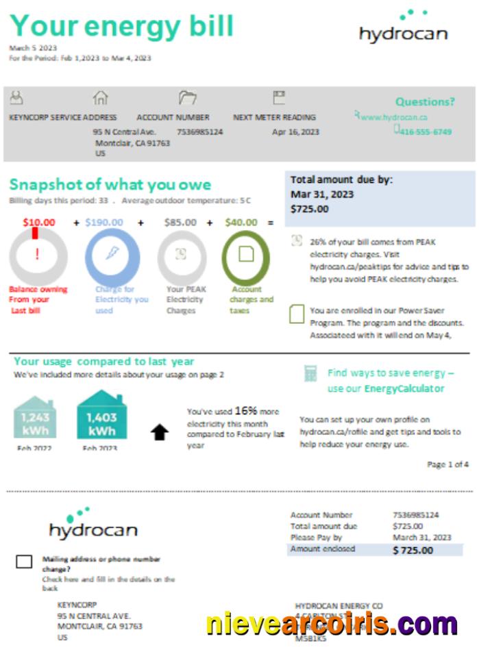 Ontario Hydrocan Electricity Business Bill, SCR Photolook
