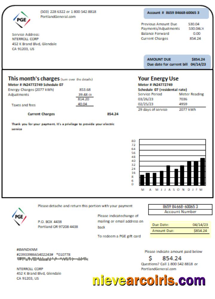 Oregon PGE Electricity Utility Business Bill, SCR Photolook