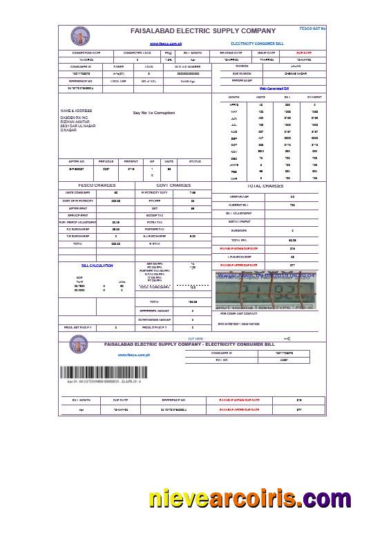 Professional PAKISTAN FAISALABAD Business Utility Bill Word And PDF Template