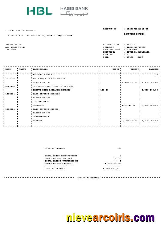 Editable PAKISTAN HBL Business Utility Bill Word And PDF Template