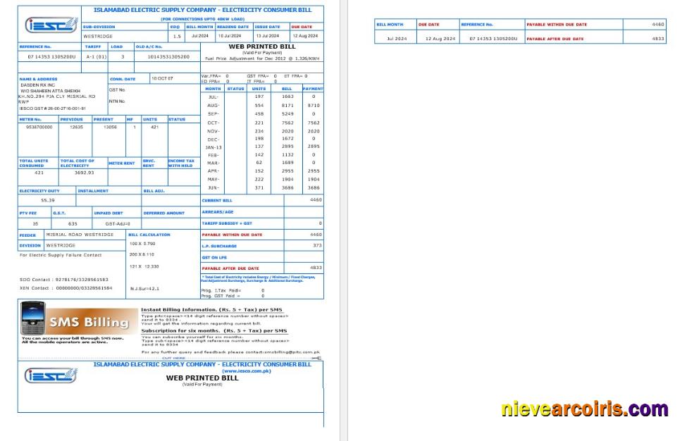 Editable PAKISTAN IESC Business Utility Bill Word And PDF Template