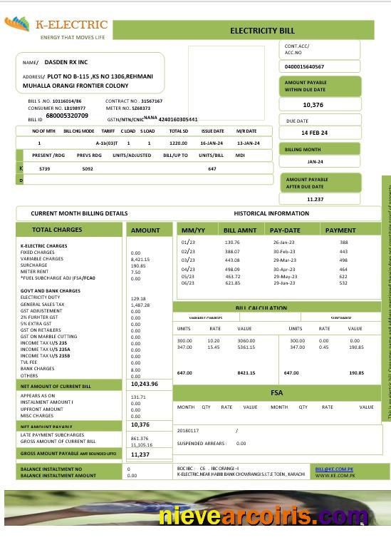 Professional PAKISTAN K ELECTRIC LIMITED Business Utility Bill Word And PDF Template