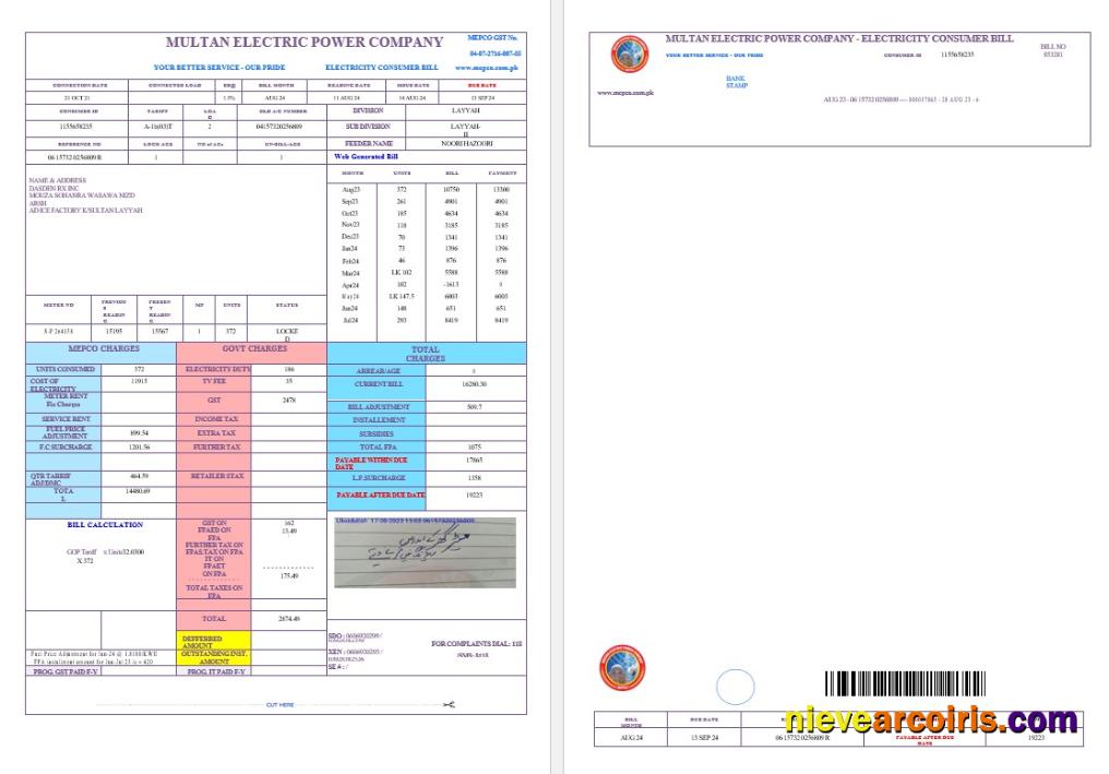 Realistic PAKISTAN MULTAN ELECTRIC POWER Business Utility Bill Word And PDF Template, Version 2