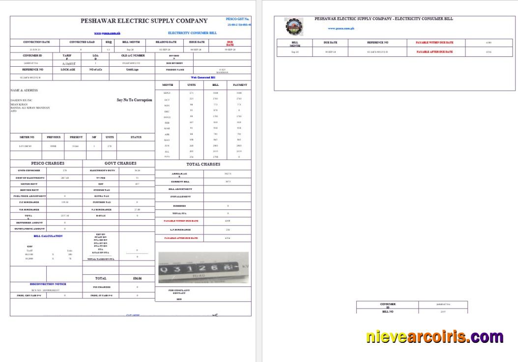 Editable PAKISTAN PESHAWAR ELECTRIC SUPPLY COMPANY Business Utility Bill Word And PDF Template