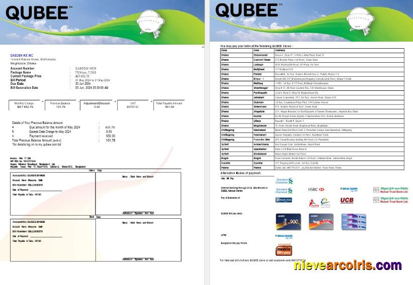 Professional PAKISTAN QUBEE Business Utility Bill Word And PDF Template