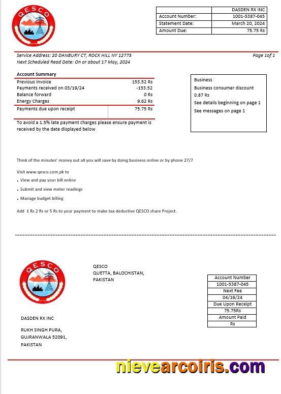 Professional Pakistan Quetta Electric Supply Company Electricity Business Utility Bill Template In Word And PDF Formats