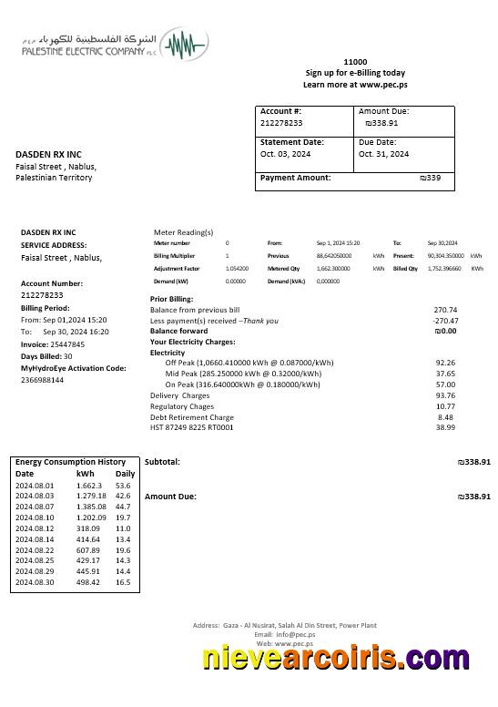 Realistic Palestine Electric Company (PEC) Business Utility Bill Template In Word And PDF Formats