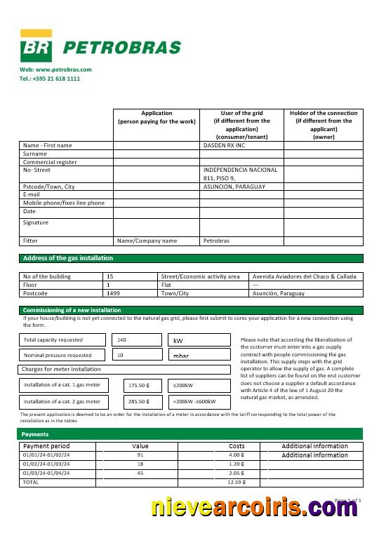 Professional Paraguay Petrobras Paraguay Operations And Logistics Gas Company Business Utility Bill Template In Word And PDF Formats