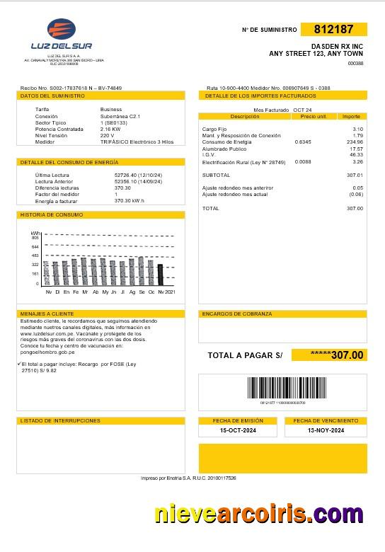 Realistic Peru Luz De Sur Business Utility Bill Template In Word And PDF Formats, Fully Editable