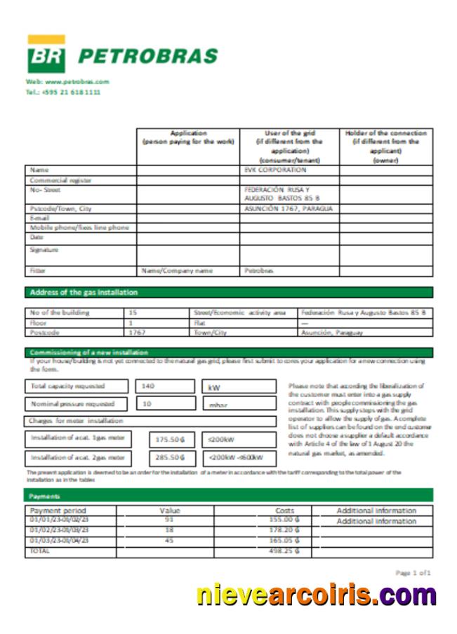 Petrobras Paraguay Operations And Logistics Gas Company Utility Business Bill, SCR Template
