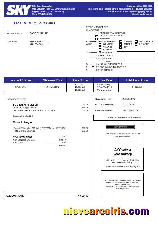 Premium Philippines Sky Cable Corporation Business Utility Bill Word And PDF Template (2)