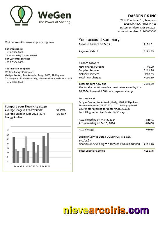 Realistic Philippines WeGen Energy Philippines Business Utility Bill Template In Word And PDF Formats