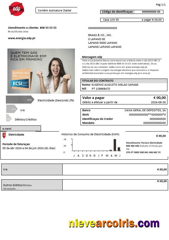 Professional Portugal EDP Electricity Business Utility Bill Template In Word And PDF Formats